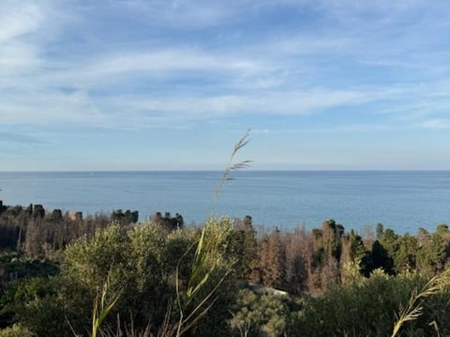 Terreno agricolo in vendita a Messina