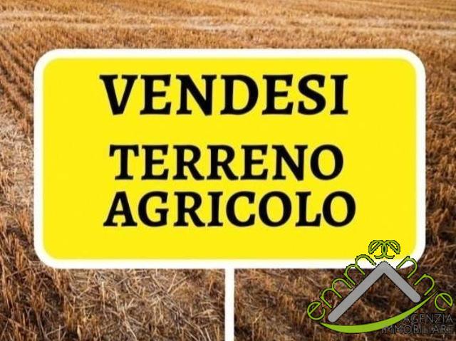 Terreno agricolo in Vendita a Mira