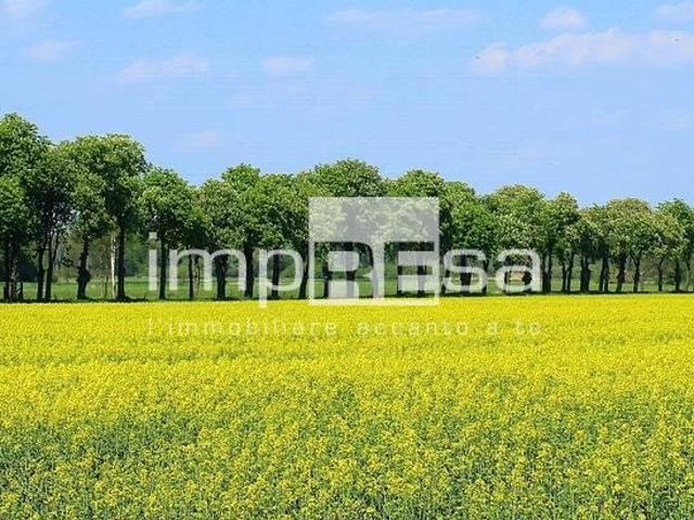 Terreno agricolo in vendita a Montebelluna