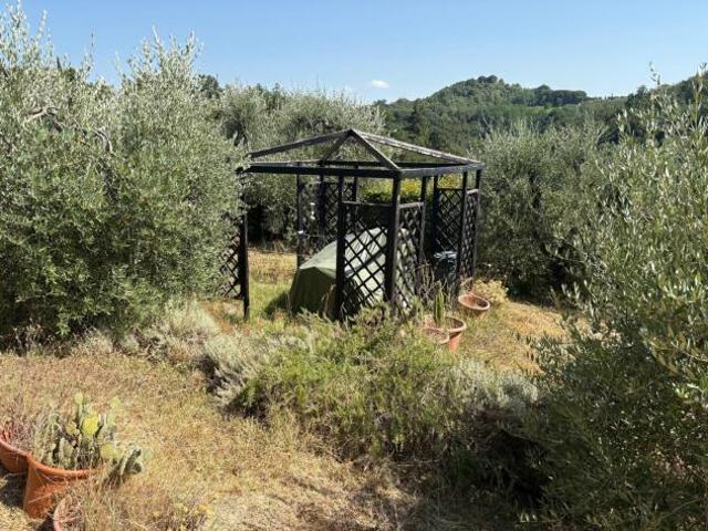 Terreno agricolo in vendita a Montecastello Pontedera 5110 mq Rif: 1425459