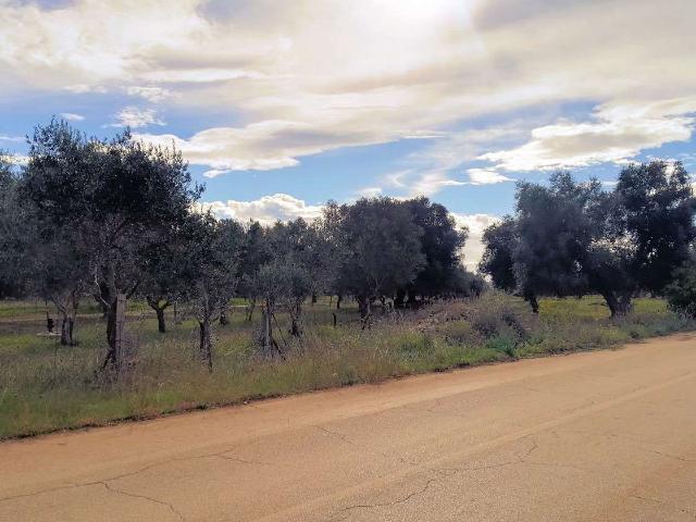 Terreno agricolo in Vendita a Monteiasi