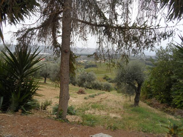 Terreno Agricolo in vendita a Monteprandone