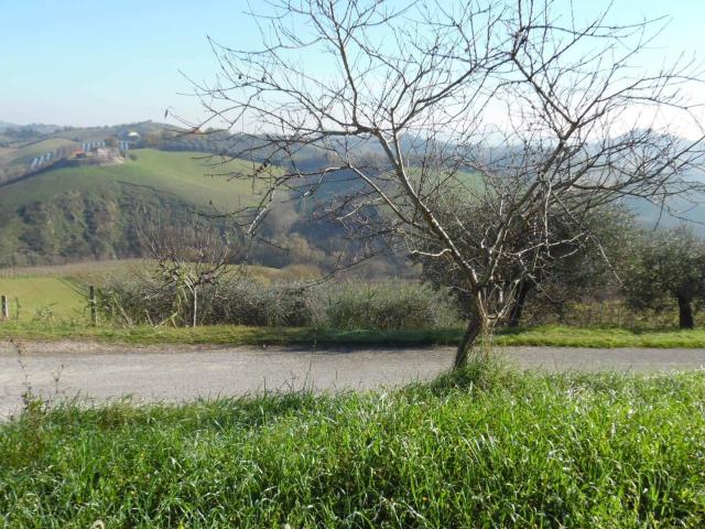 Terreno Agricolo in vendita a Monteprandone