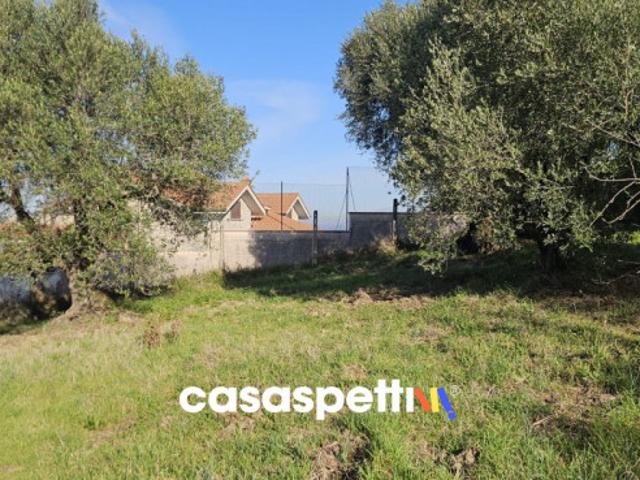 Terreno agricolo in Vendita a Monterotondo