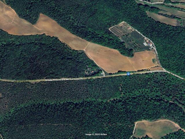 Terreno agricolo in vendita a Montescudaio