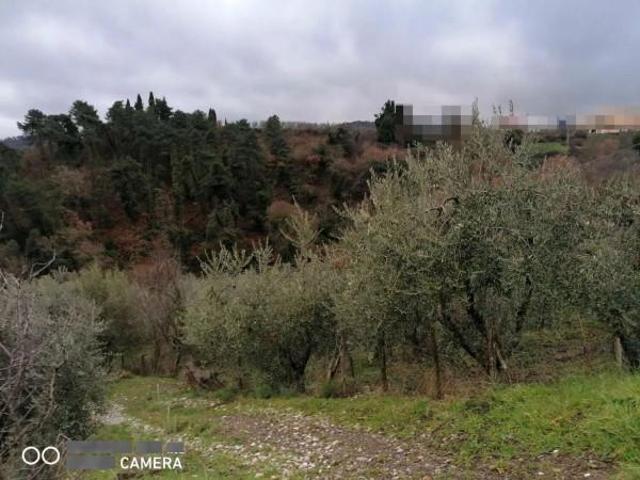 Terreno agricolo in vendita a Montevarchi