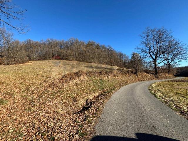 Terreno agricolo in vendita a Montezemolo