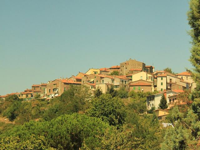 TERRENO AGRICOLO in VENDITA a MONTIERI BOCCHEGGIANO