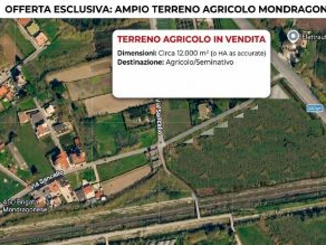 TERRENO AGRICOLO IN VENDITA A MONDRAGONE MONDRAGONE RIF.V3323