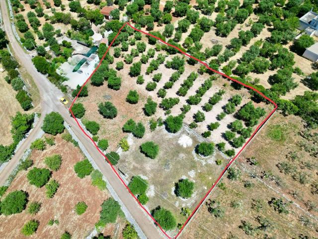 Terreno agricolo in vendita a Monopoli