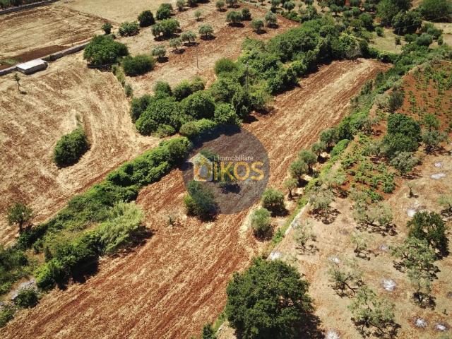 Terreno Agricolo in vendita a Monopoli