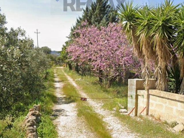 Terreno agricolo in vendita a Monopoli