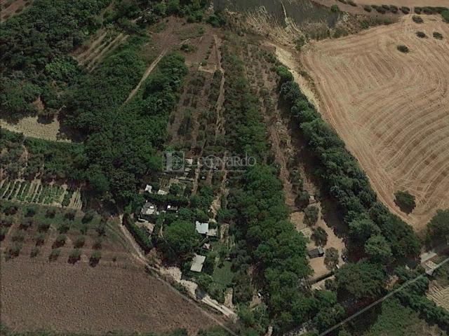 Terreno Agricolo in vendita a Monsampolo del Tronto
