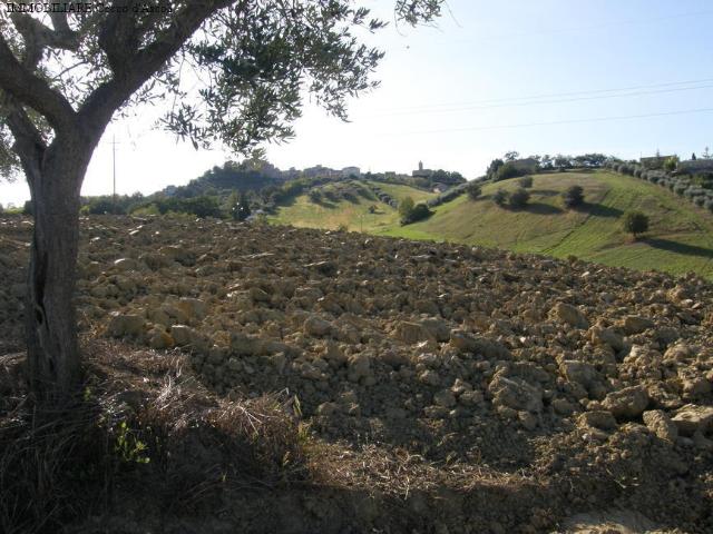 Terreno Agricolo in vendita a Monsampolo del Tronto, Monsampolo