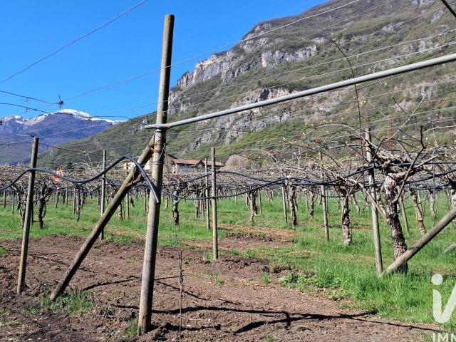Terreno agricolo in vendita a Mori