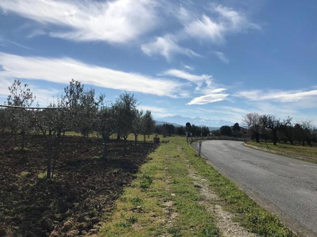 Terreno Agricolo in vendita a Mosciano Sant'Angelo, Ripoli