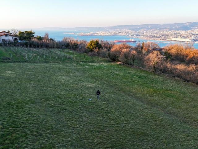 TERRENO AGRICOLO in VENDITA a MUGGIA