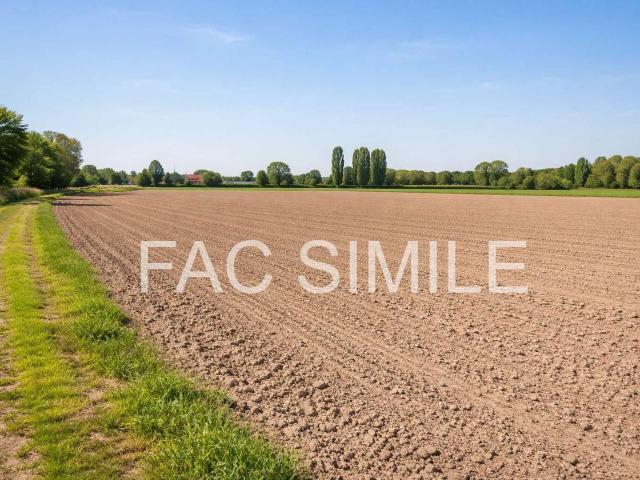 Terreno agricolo in vendita a Musile Di Piave