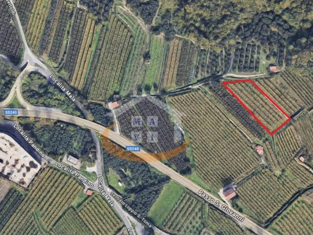 Terreno Agricolo in vendita a Nago Torbole, Nago