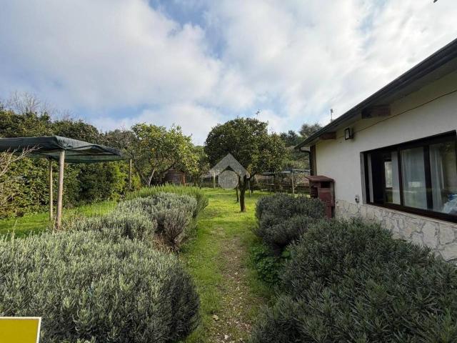 Terreno agricolo in vendita a Napoli