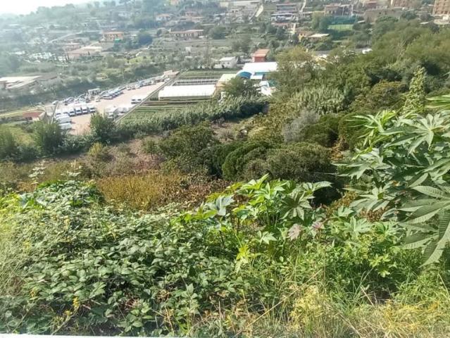 Terreno agricolo in vendita a Napoli
