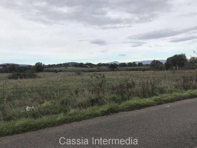 Terreno agricolo in vendita a Nepi