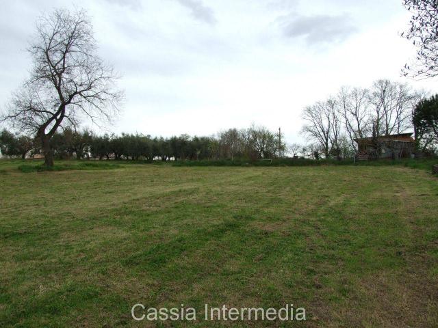 Terreno agricolo in vendita a Nepi