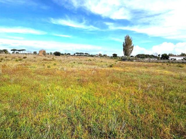 Terreno agricolo in vendita a Nettuno