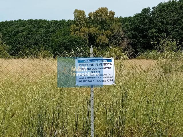 Terreno Agricolo in vendita a Nettuno