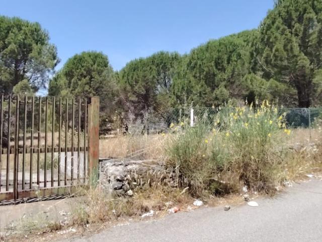 Terreno agricolo in vendita a Nicolosi