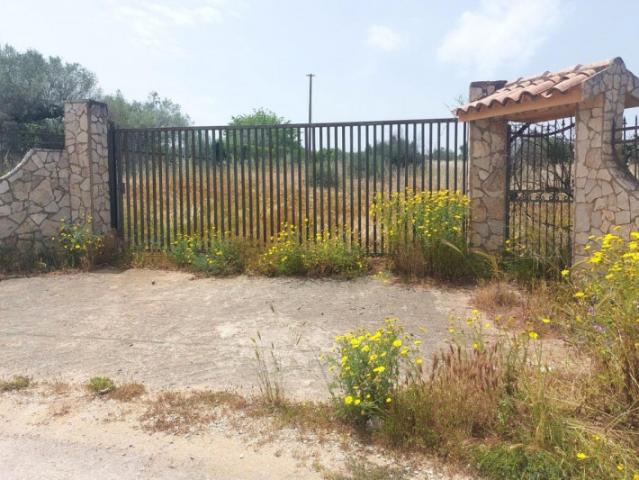 Terreno agricolo in Vendita a Niscemi