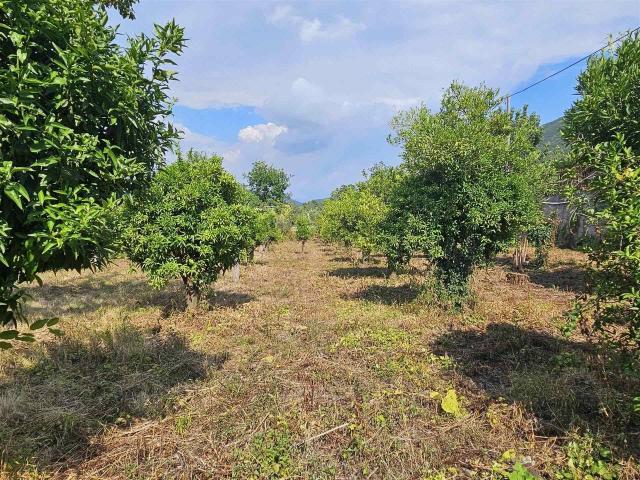 Terreno agricolo in vendita a Nocera Inferiore