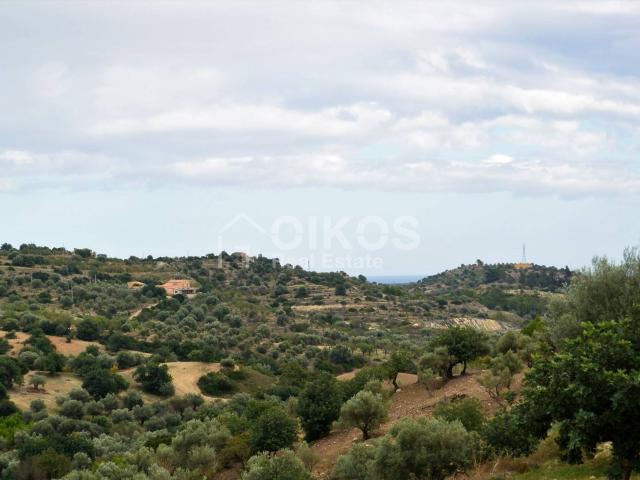 Terreno Agricolo in vendita a Noto, C.da Saccolino