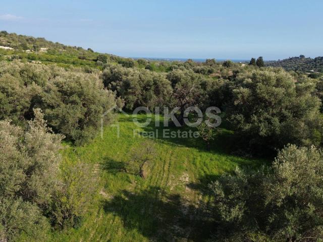 Terreno Agricolo in vendita a Noto, C.da Zisola