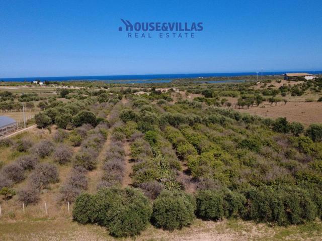 Terreno agricolo in vendita a Noto