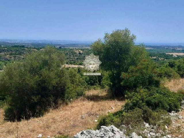 Terreno agricolo in vendita a Noto