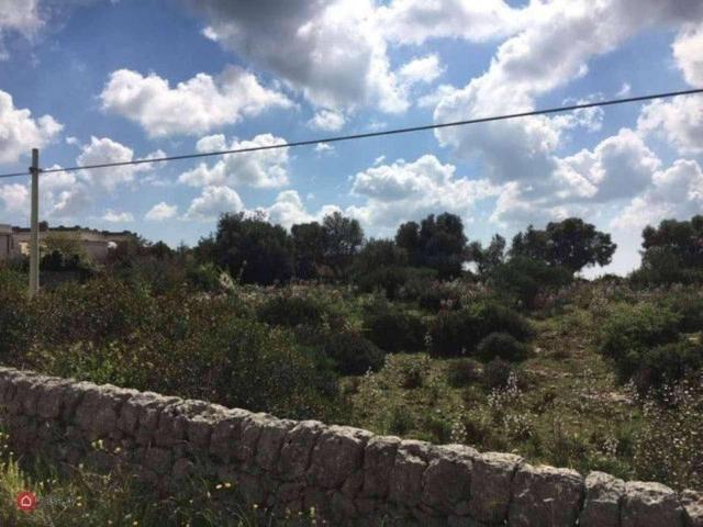 Terreno agricolo in vendita a Noto