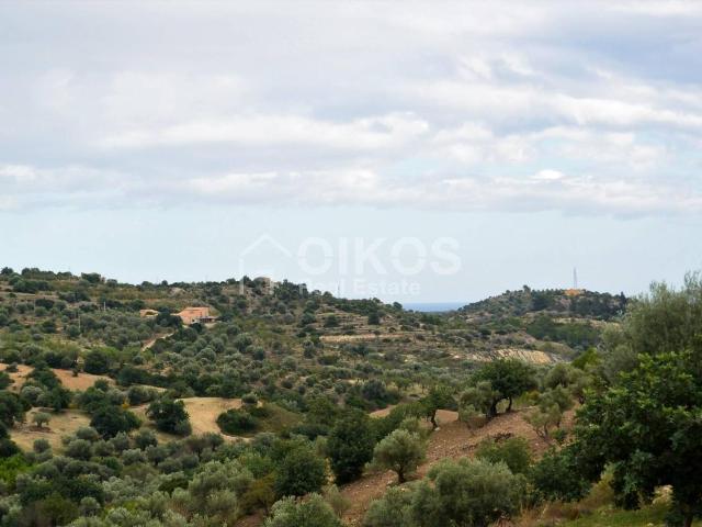 Terreno agricolo in vendita a Noto