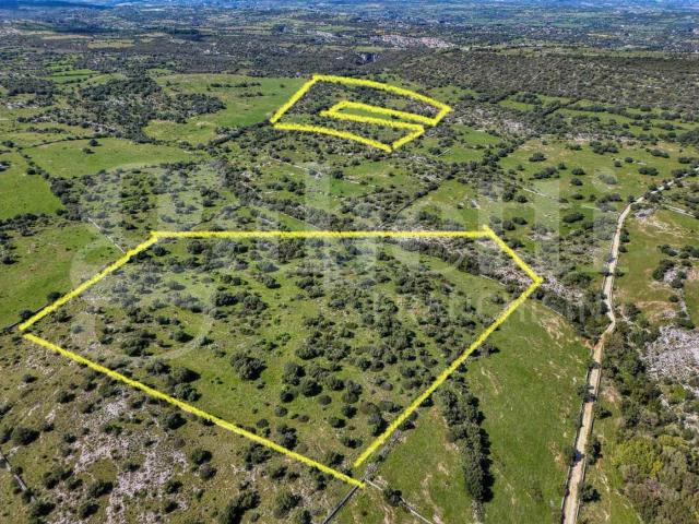Terreno Agricolo in vendita a Noto