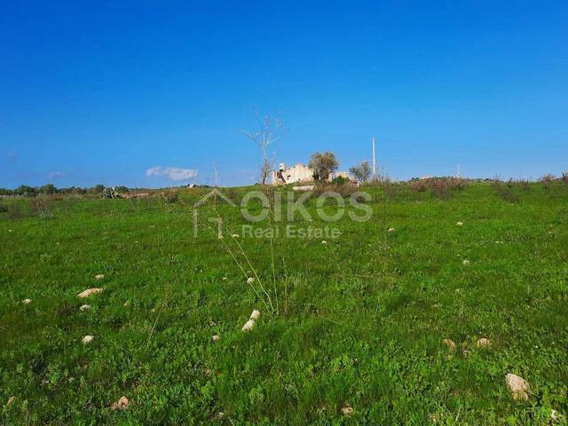 Terreno agricolo in vendita a Noto
