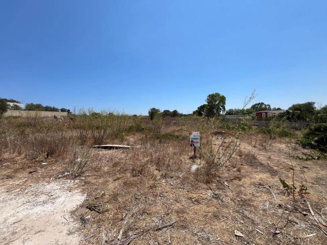 Terreno agricolo in vendita a Noto