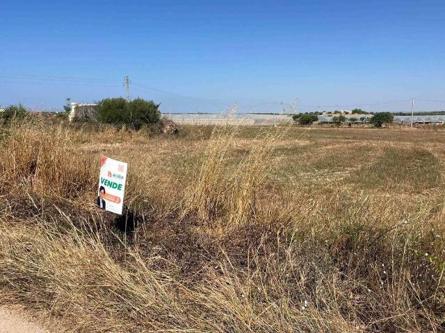Terreno agricolo in vendita a Noto