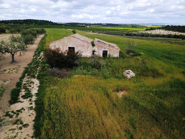 Terreno agricolo in vendita a Noto