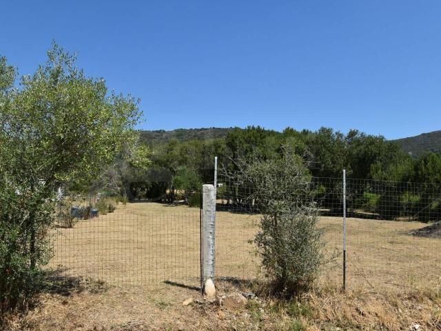 Terreno agricolo in vendita a Olbia