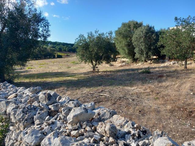 Terreno agricolo in vendita a Ostuni