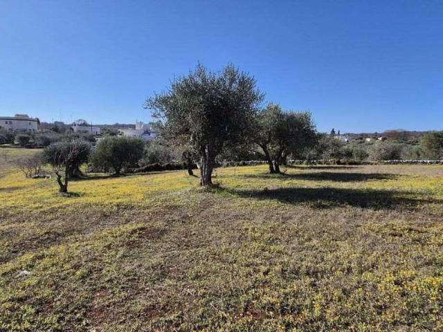 Terreno agricolo in vendita a Ostuni