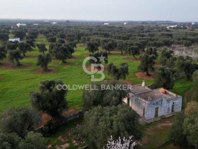 Terreno agricolo in vendita a Ostuni
