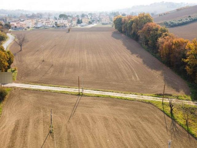 Terreno agricolo in vendita a Ostra