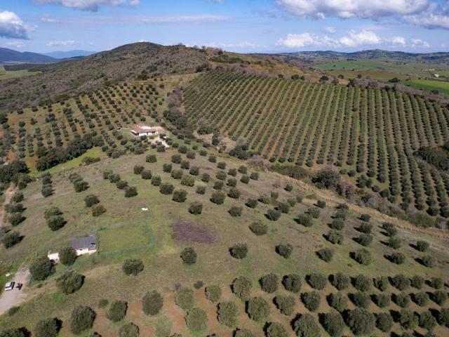 Terreno Agricolo in vendita a Orbetello, Fonteblanda