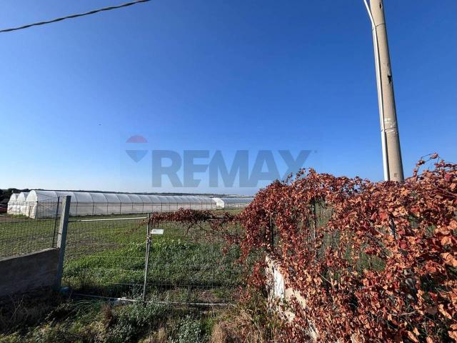 Terreno agricolo in vendita a Pachino